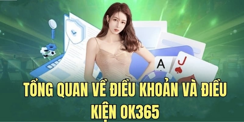 Tổng quan đôi nét về điều khoản sử dụng OK365.